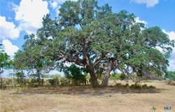 Tract 4 County Road 366, Shiner, TX 77984