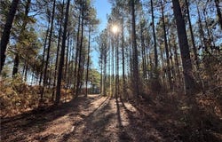 COUNTY ROAD 48, LAFAYETTE, AL 36862