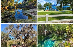 LITHIA PINECREST Road, VALRICO, FL 33596