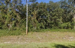 CORDELL Avenue, INTERLACHEN, FL 32148