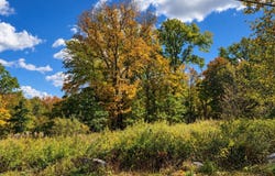 Rutsonville Road, Wallkill, NY 12589