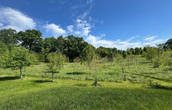 15491 BARNESVILLE Road, BOYDS, MD 20841