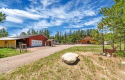 25361 S Lightning Creek Road, Custer, SD 57730
