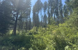 TBD, Council, ID 83612