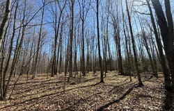 ALLEN RD lot: #4, Crandon, WI 54520