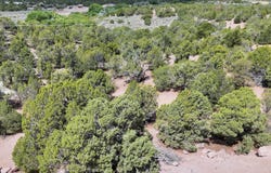 4248 S Artifact Dr, Cedar City, UT 84720