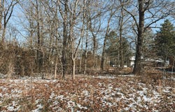 Ginger Drive Lot 13, West Plains, MO 65775