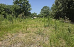 307 Washington, Linden, TX 75563