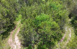 Mulberry Gap Rd, Sneedville, TN 37869