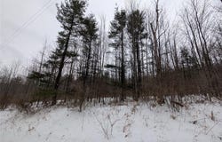 458 Mount Carmel Road, WINDSOR, NY 13865
