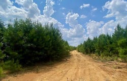 County Line Road, Summit, MS 39666