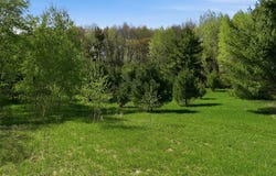 3.42 Acres 10th Avenue, Chetek, WI 54728