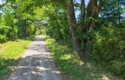 Mule Deer Road, Gilmer, TX 75644