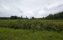 Old State Road, Lisbon, NY 13658