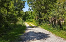 Algood Road, Spring Hill, FL 34607