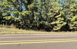 West, Douglassville, TX 75560