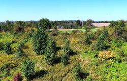Killwell Run Road, Marietta, OH 45750