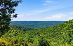 622 Coyote Trail, Spencer, TN 38585