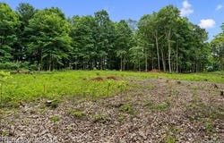7888 N Territorial, Webster Twp, MI 48130