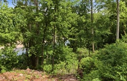 Tract 10 Circle B Road, Eminence, MO 65466