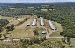13589 Middle Ridge Road, Ozark, AR 72949
