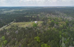 Turp Maples Road, Perkinston, MS 39573