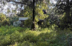 30 Dunson Estate Rd, Bunnell, FL 32110