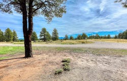 207 Domicile Circle, Pagosa Springs, CO 81147