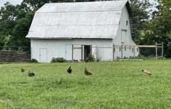1107 Lower Ford Road, Ava, MO 65608