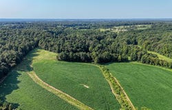 Finch Rd, GLEASON, TN 38229