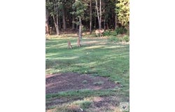 10957 State Hwy 160, Doddridge, AR 71834