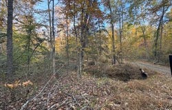 31078 OLD OFFICE RD LOT 1, LOCUST GROVE, VA 22508