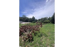 706 Pine Creek Drive, Greenville, SC 29605