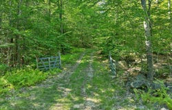 N Wakefield Road, Wolfeboro, NH 03894