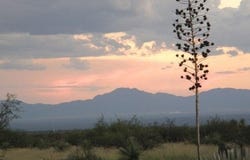 E2 68 E Tom Jeffords lot: 68, St. David, AZ 85630
