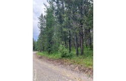 1596 Annies Landing, Ashton, ID 83420
