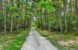16461 Highway 63 S, Vichy, MO 65580