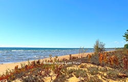 15614 N Whitefish Point Rd, Paradise, MI 49768
