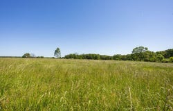 Highway B, Bolivar, MO 65613