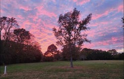22 CLEARVIEW WAY lot: 22, EXMORE, VA 23350