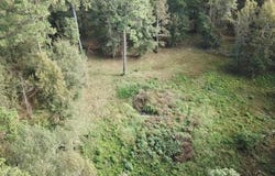 Hwy 28 W, SOSO, MS 39480