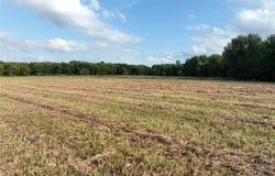 Arlington Street, IA 50605