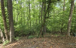 3 Keel Way, Salem, SC 29676