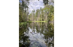 Columbus Jordan Road, Plainfield, NH 03781