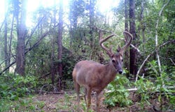 84 Cr 154, Tillatoba, MS 38961