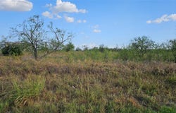 FM-1392, Terrell, TX 75160