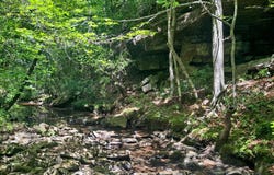 TOMMY MCGOUGH Rd, Carbon Hill, AL 35549