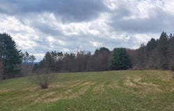 Goddards Road, New Lisbon, NY 13315