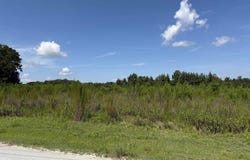 183 Dove Rd., Loris, SC 29569