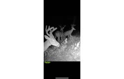 Sedgefield Rd, Natchez, MS 39120